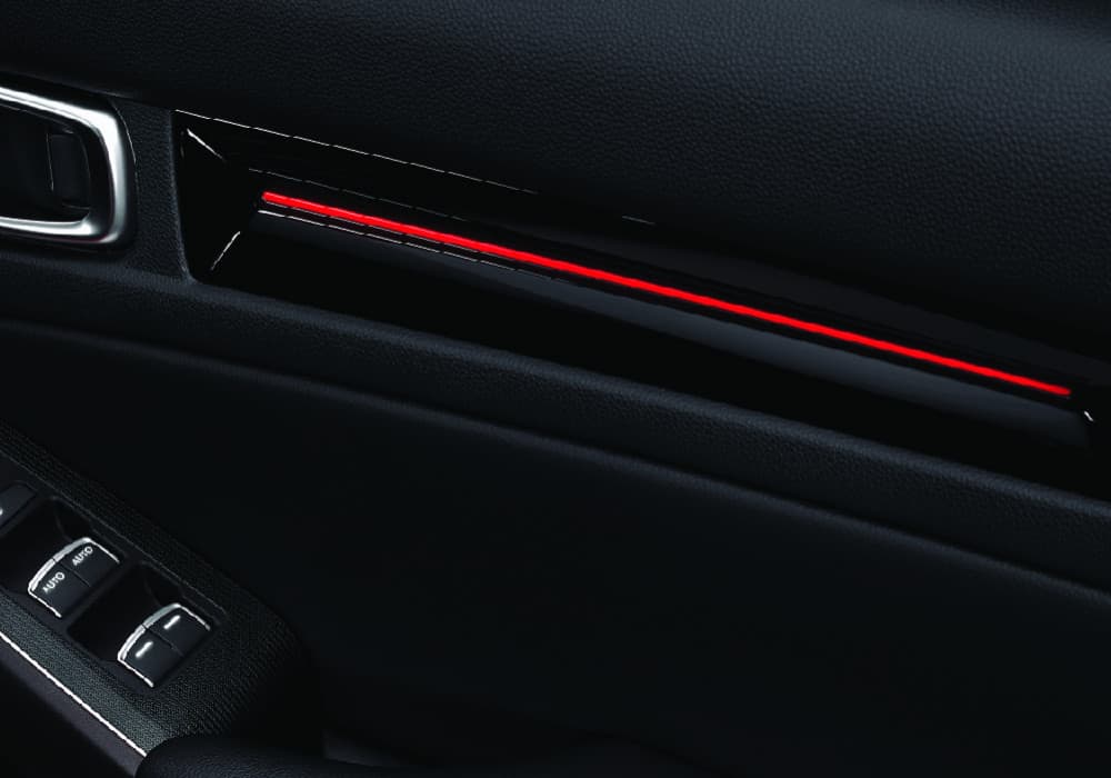 Door Trim with Red Illumination